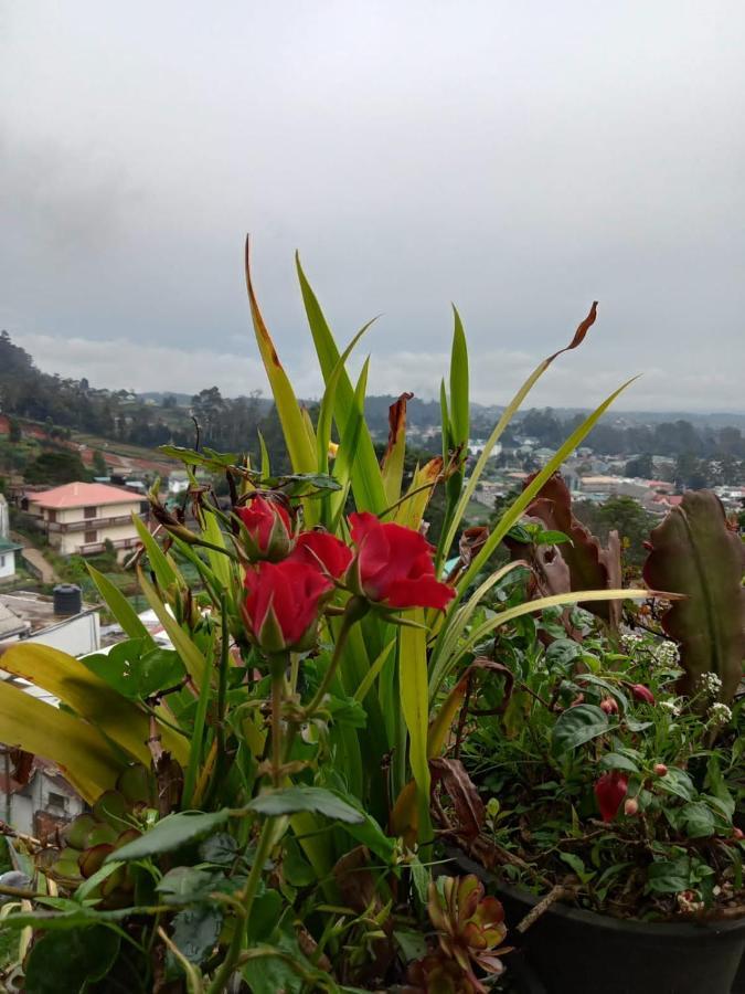 La Rose Guest House Nuwara Eliya Exterior photo